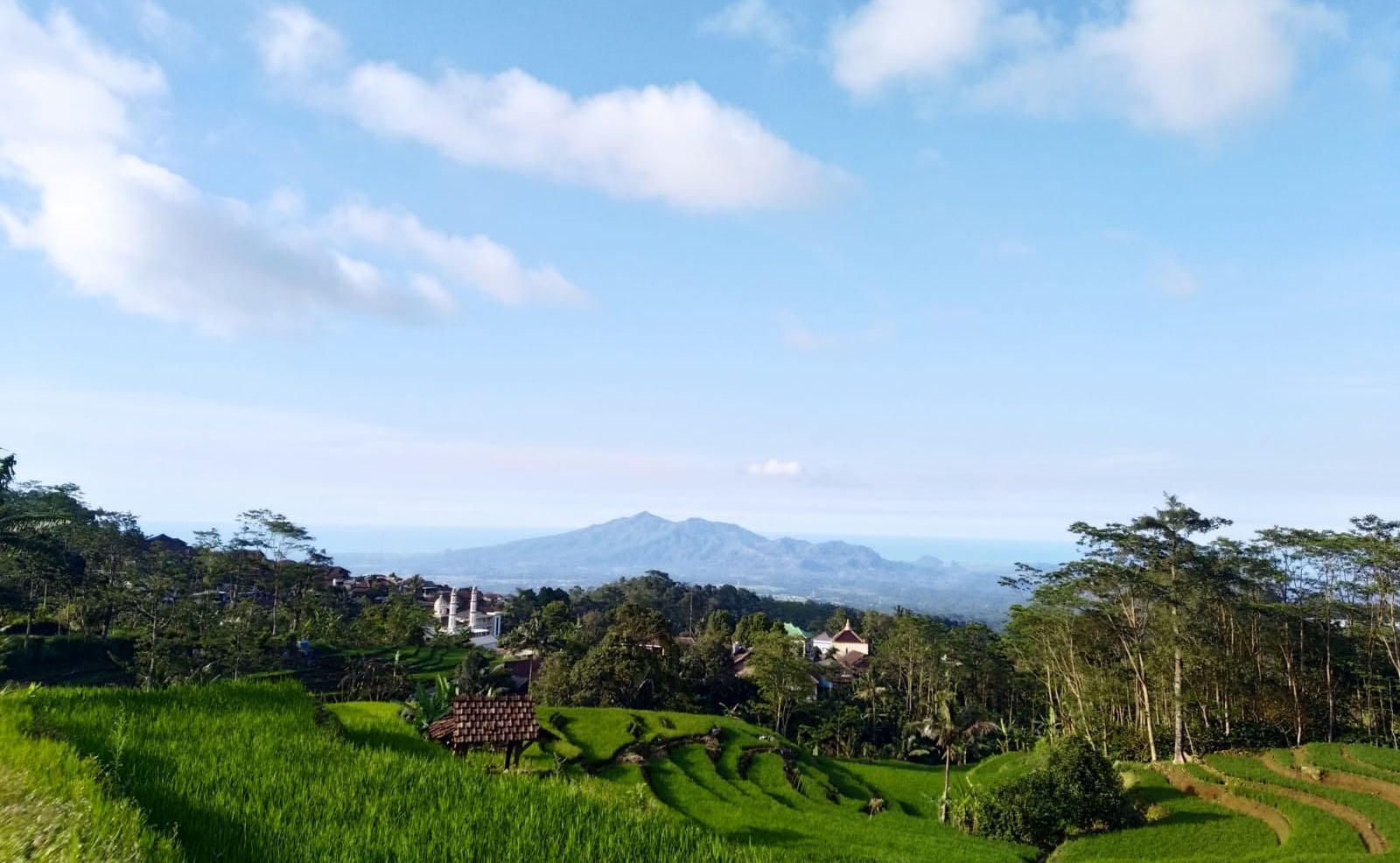 desa damarwulan keling jepara